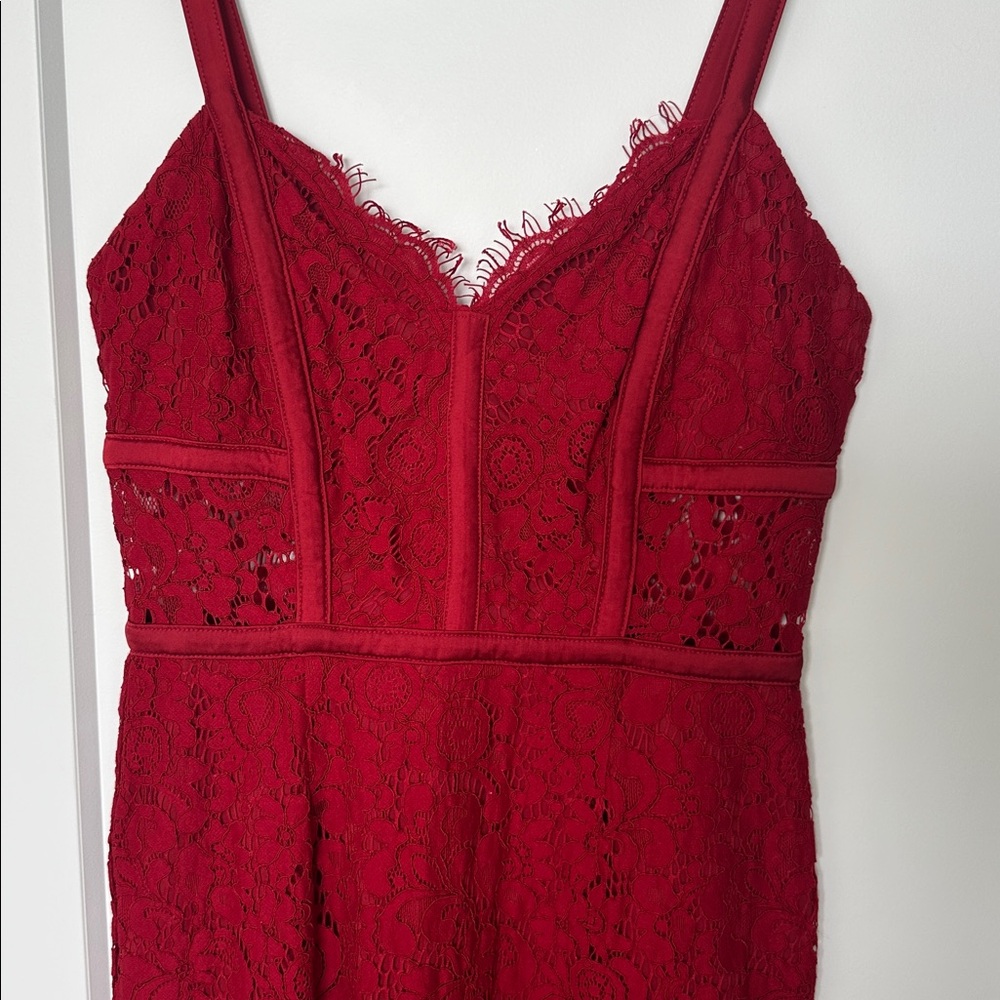 Express Lace Dress - Picture 2 of 4